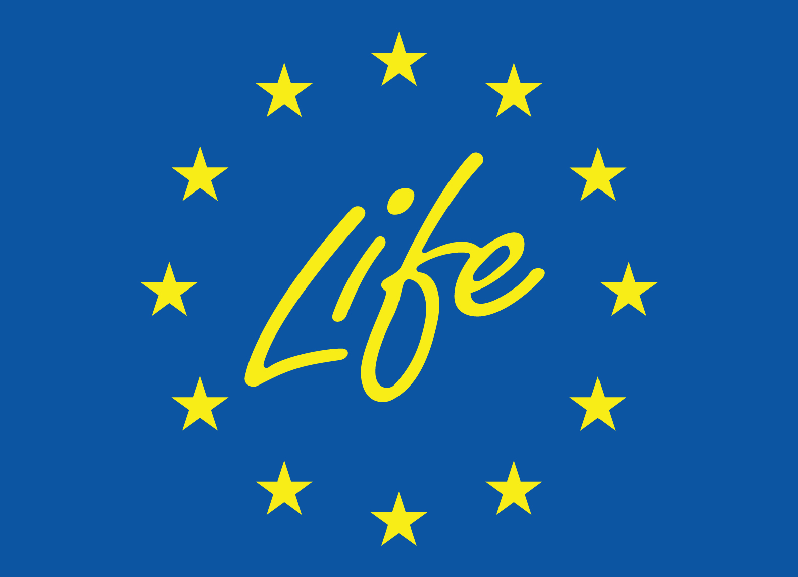 life generation